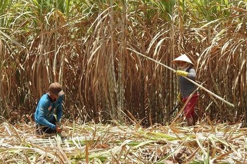 Để có một 'sân chơi' bình đẳng