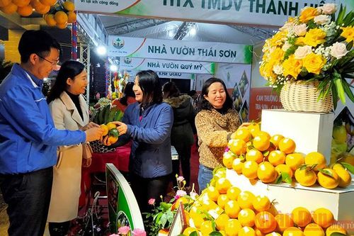 Khai mạc Lễ hội Cam và các sản phẩm nông nghiệp Hà Tĩnh lần thứ tư