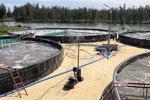 Tích cực tuyên truyền tai nạn điện trong nhân dân