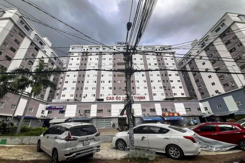 Bình Định 'thúc' cấp sổ đỏ cho khu nhà ở xã hội toàn người đi ô tô