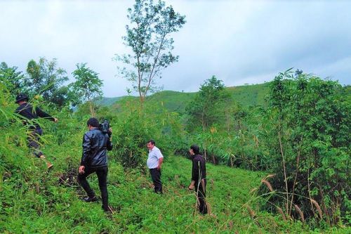 Đắk Lắk: Di dân khẩn cấp khỏi khu vực bị sạt lở nghiêm trọng