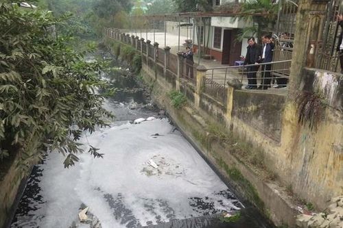 Phạt doanh nghiệp 255 triệu đồng vì xả thải chưa xử lý ra môi trường
