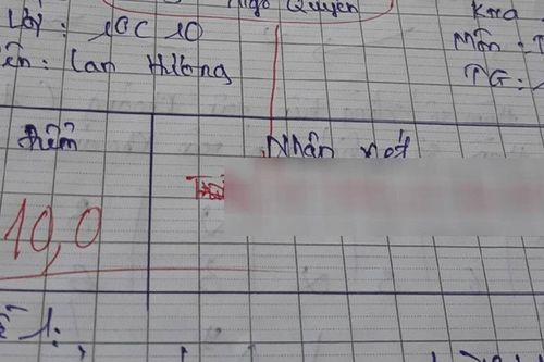 Bài kiểm tra 10 điểm nhưng mắc lỗi sơ đẳng, cô giáo phê 'chất như nước cất' khiến học trò giật mình