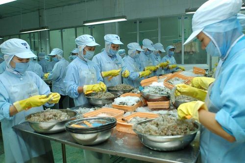 Vương quốc Anh hoàn tất FTA với Việt Nam: Bước đệm quan trọng để gia nhập CPTPP