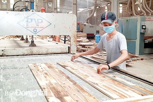 Đã có chợ đầu mối gỗ Tây, cần thêm chợ đầu mối 'gỗ Ta'