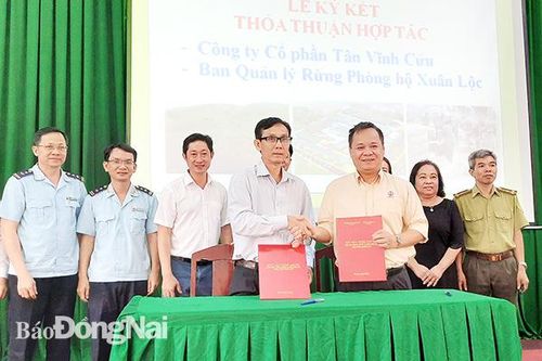 Xây dựng chuỗi liên kết cho ngành Gỗ