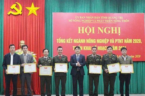 Tập trung huy động các nguồn lực tổ chức sản xuất nông nghiệp có hiệu quả cao sau lũ lụt