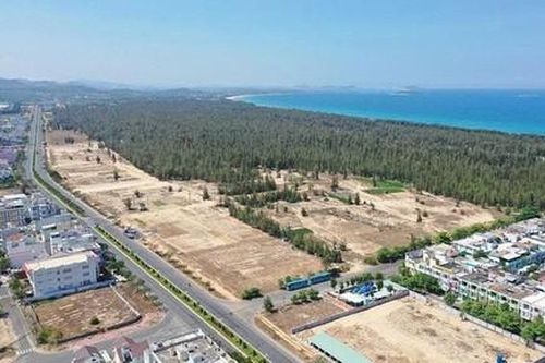 Trúng đấu giá, chờ hoài chưa được phê duyệt kết quả