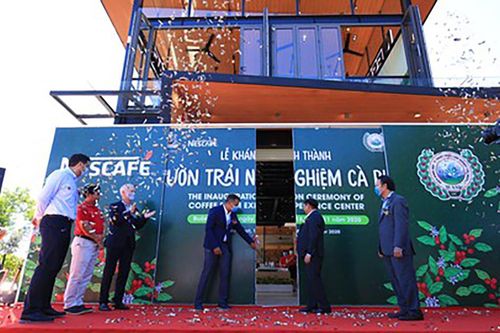Viện Khoa học kỹ thuật Nông lâm nghiệp Tây Nguyên xây công trình trái phép