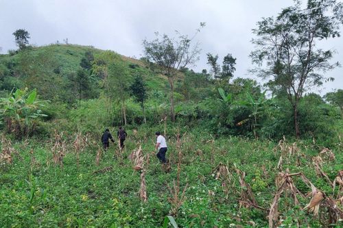 Khẩn cấp di dời nhiều hộ dân nơi có nguy cơ sạt lở ở Đắk Lắk