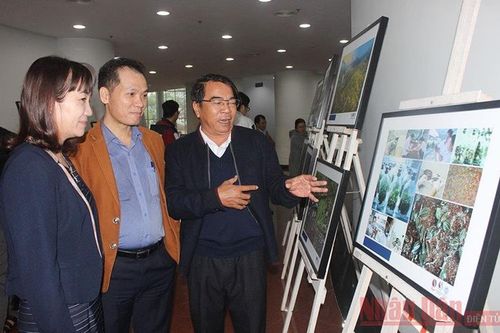 Đà Nẵng - Hành động vì thiên nhiên