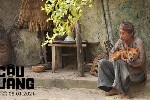 Lão Hạc và 'câu Vàng' 3xuất hiện trên màn ảnh có giống như những gì khán giả đã hình dung?