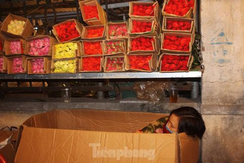 Nhọc nhằn mưu sinh trong giá lạnh ở chợ hoa lớn nhất Thủ đô