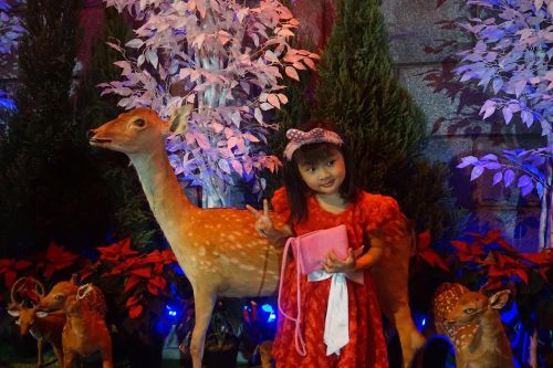 Người dân rủ nhau 'check-in' tại biệt thự ngập tràn không khí Noel của Đàm Vĩnh Hưng