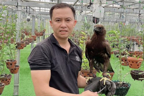 Nguyễn Phú: 8X Khánh Hòa khởi nghiệp với niềm đam mê hoa lan