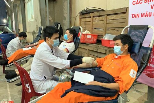 Quảng Bình: Hơn 400 đơn vị máu trong chương trình 'Tuần lễ hồng EVN' lần VI