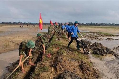 Chủ động các phương án tái thiết, phục hồi sản xuất nông nghiệp ngay trong vụ đông xuân 2020 - 2021
