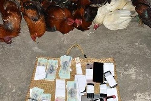 Thu giữ trên 100 triệu đồng tại trường gà