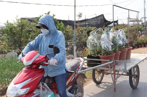 Bắc Bộ tiếp tục rét hại, Nam Bộ ứng phó với cơn bão mới