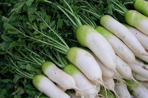 Món ngon từ củ cải khi mùa đông về