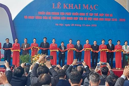 Khai mạc Triển lãm thành tựu phát triển kinh tế tập thể, hợp tác xã