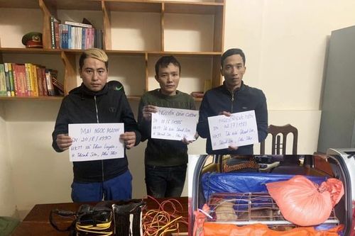 Bắt nhóm đối tượng đi xe ô tô trộm chó liên tỉnh