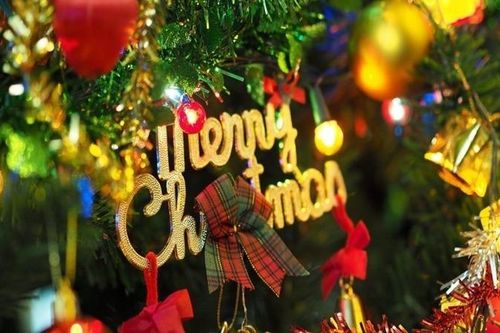 Những câu chuyện nhuốm màu huyền bí về cây thông Noel
