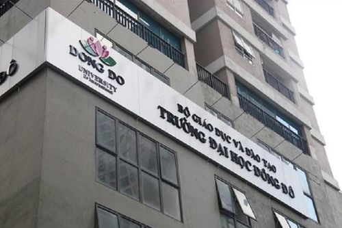 Điểm nhấn giáo dục: Bao nhiêu người dùng bằng giả đại học Đông Đô?