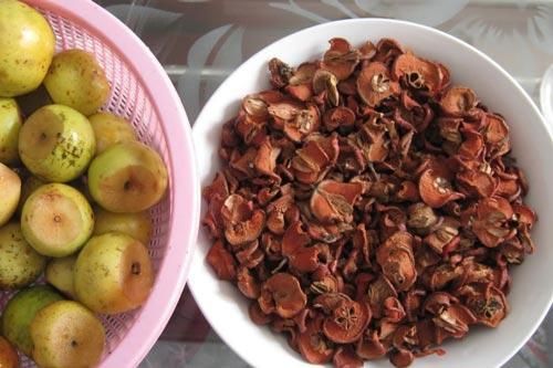 Nhận biết quả táo mèo và quả chay