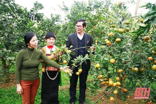 Xã Ngọc Trung cơ bản hoàn thành 19 tiêu chí nông thôn mới