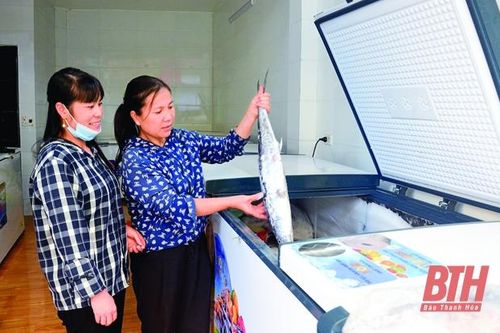 Xã Ngư Lộc khai thác tiềm năng phát triển kinh tế biển