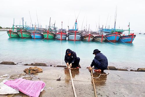Hơn 500 ngư dân vào âu tàu, làng chài huyện Trường Sa tránh, trú áp thấp nhiệt đới