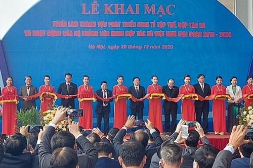 Hơn 600 sản phẩm tiêu biểu tham dự triển lãm thành tựu kinh tế tập thể, hợp tác xã