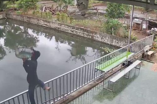 Nam thanh niên trộm chim cảnh, giày vải lấy tiền mua ma túy