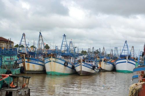 Nhiều tỉnh miền Tây cấm tàu, thuyền ra khơi để tránh bão