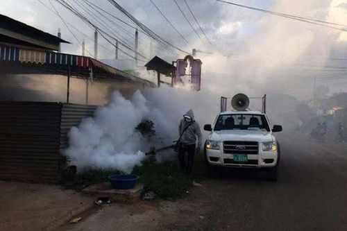 An Giang ghi nhận 2 ca dương tính với bệnh Chikungunya