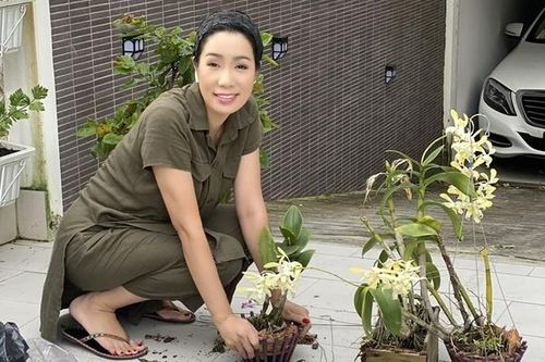 Á hậu Trịnh Kim Chi trồng hoa trong biệt thự 200m2