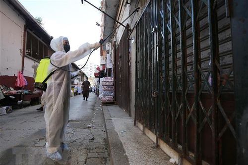 Algeria sắp khởi động chiến dịch tiêm vắcxin ngừa COVID-19