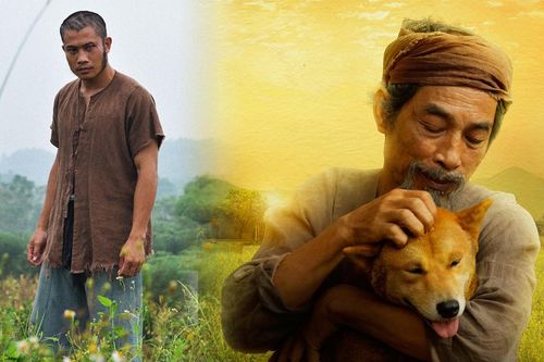 Trailer 'Cậu Vàng' gây xúc động với lời thoại cực gắt: 'Đến con chó còn biết sống sao cho phải đạo...'