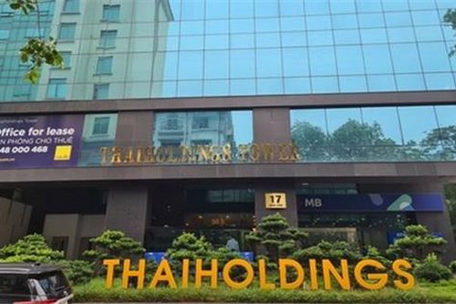 Thaiholdings: Từ cổ phiếu vô danh đến 'kẻ dẫn dắt' sàn chứng khoán Hà Nội