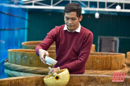 Chàng trai 'giữ hồn' nước mắm truyền thống Khúc Phụ