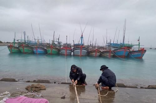 Các tỉnh từ Quảng Ngãi đến Kiên Giang lên phương án ứng phó với cơn bão số 14