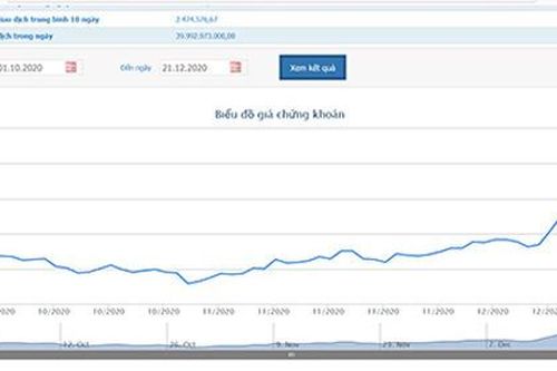 Đấu giá thành công, Becamex IJC thu về hơn 1.000 tỷ đồng
