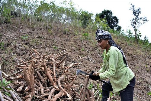 Phu Luông từng bước xóa đói giảm nghèo