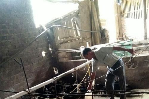 Giúp nông dân phát triển kinh tế