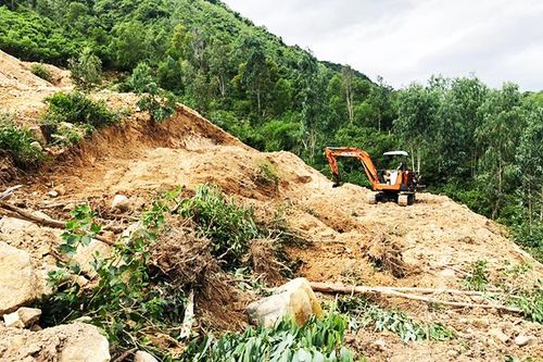 Vụ 'Xẻo đất rừng, xây nhà trên núi' tại phường Vĩnh Hòa: Xử lý nghiêm các trường hợp vi phạm