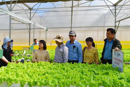 Nông nghiệp công nghệ cao - bên cạnh những thành tựu