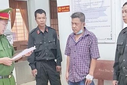 Khởi tố thêm 12 bị can trong vụ phá rừng có tổ chức ở Phú Yên