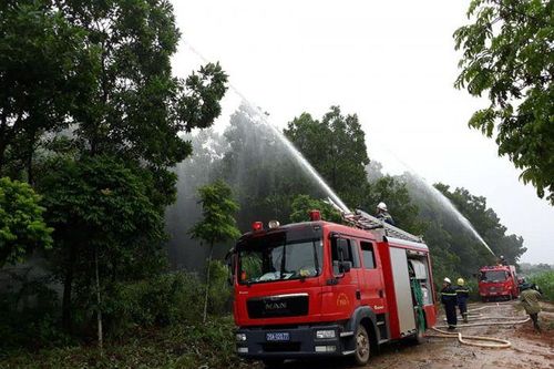 Hà Nội triển khai các biện pháp phòng, chống cháy rừng dịp lễ, Tết