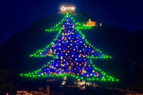 Chiêm ngưỡng những cây thông Noel tuyệt đẹp trên khắp thế giới